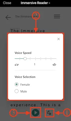 Options vocales dans le lecteur immersif