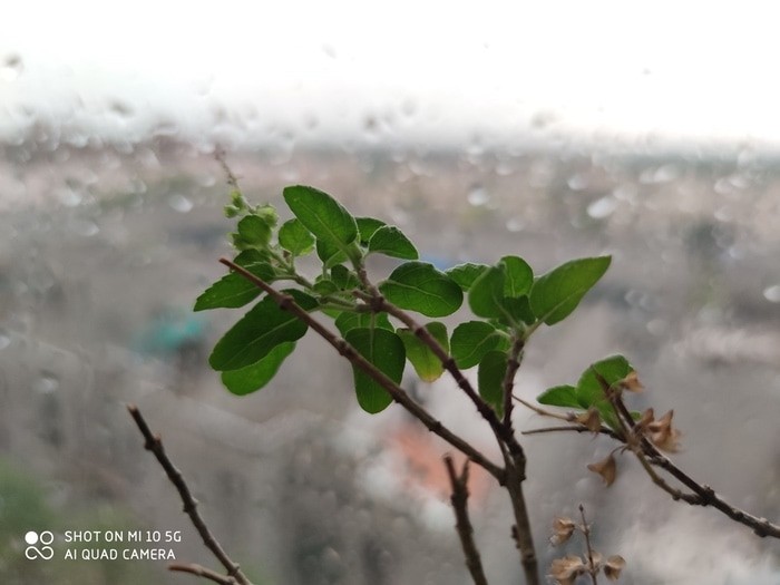 Xiaomi Mi 10 Review: The Premium Segment Gets its Redmi Note - Xiaomi mi 10 camera sample 7