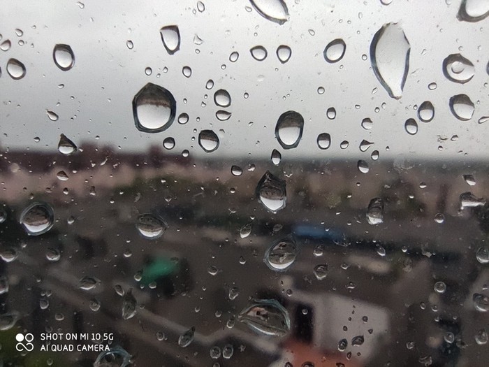 Xiaomi Mi 10 Review: The Premium Segment Gets its Redmi Note - Xiaomi mi 10 camera sample 6
