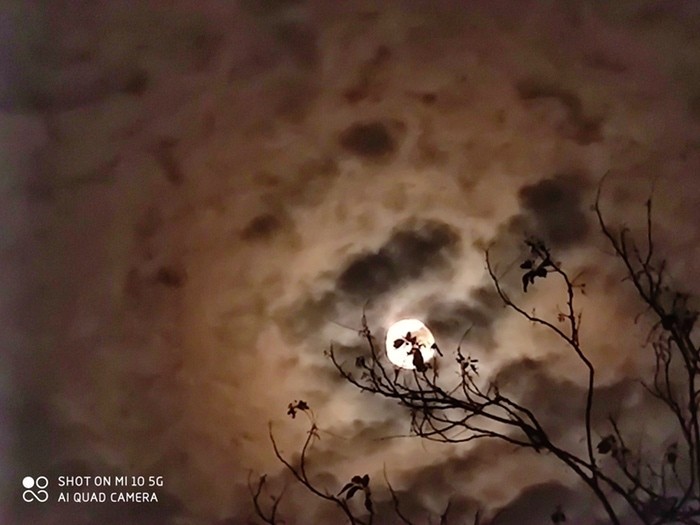 Xiaomi Mi 10 Review: The Premium Segment Gets its Redmi Note - Xiaomi mi 10 camera sample 1