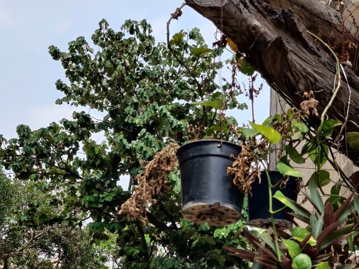 OnePlus 8 Pro Review: Big Time for OnePlus! - oneplus 8 pro camera sample 5