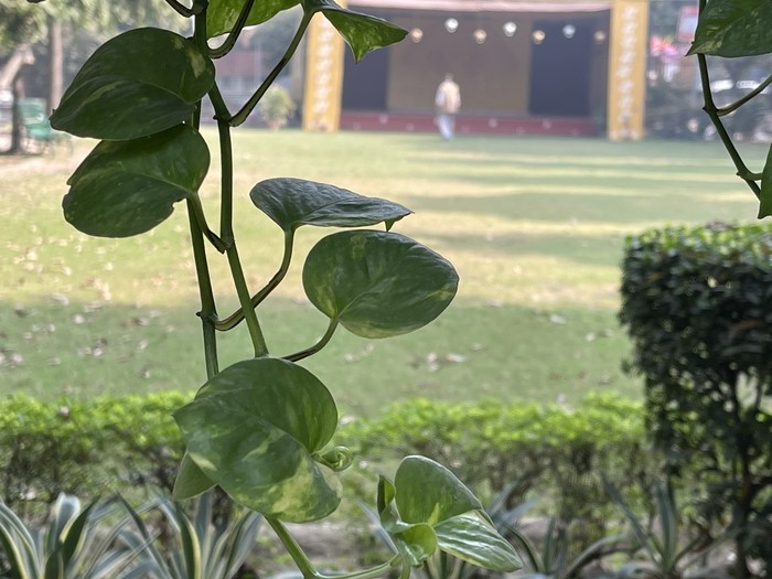 iPhone 12 Pro Max Camera Review: The world has a new phone camera champ - IMG 0008