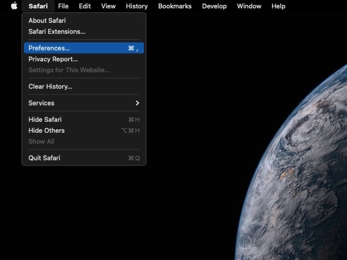 Enable Safari Extensions 