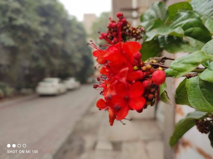 Xiaomi Mi 10i Review: Mi brings Big Megapixels to the Mid-Segment - IMG 20210102 142208