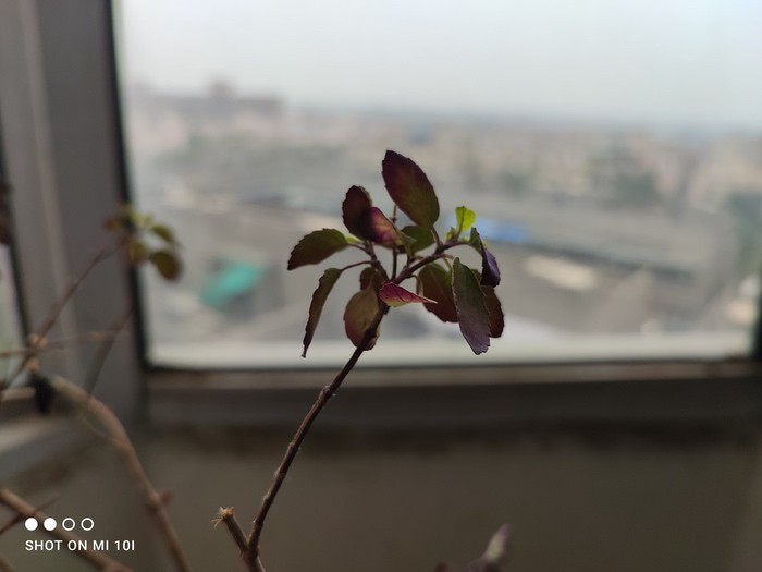 Xiaomi Mi 10i Review: Mi brings Big Megapixels to the Mid-Segment - IMG 20210107 093825