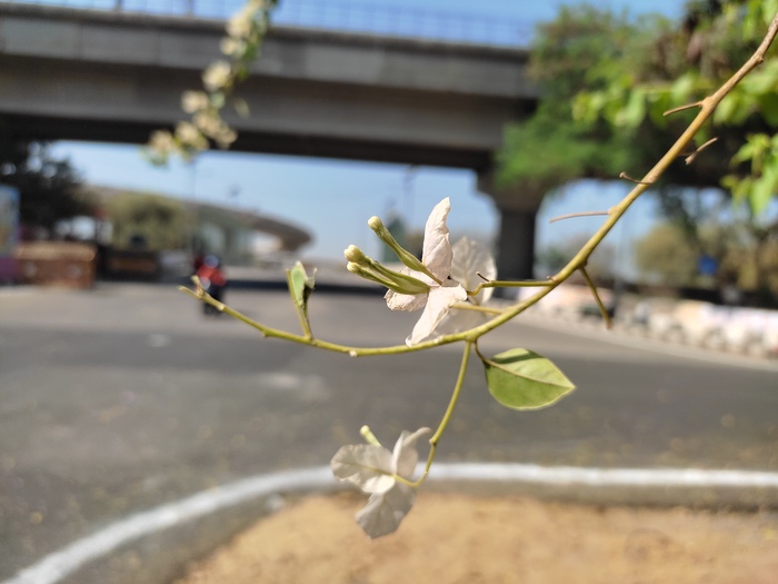 Redmi Note 10 Review: The Most Note-ish Note of the Lot - IMG 20210305 105447