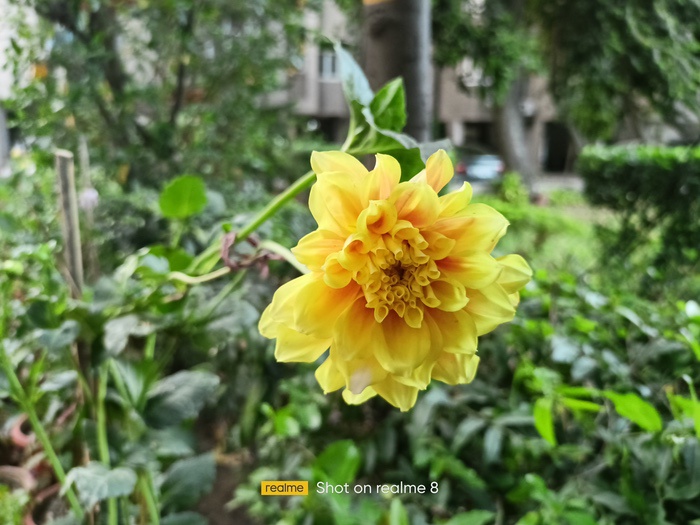 Realme 8 Review: Steady Performer Caught in Note-land - IMG20210401180618