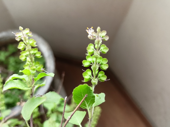 Realme 8 Review: Steady Performer Caught in Note-land - IMG20210329092215