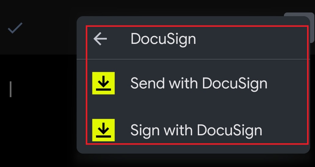 Docs Add-ons options