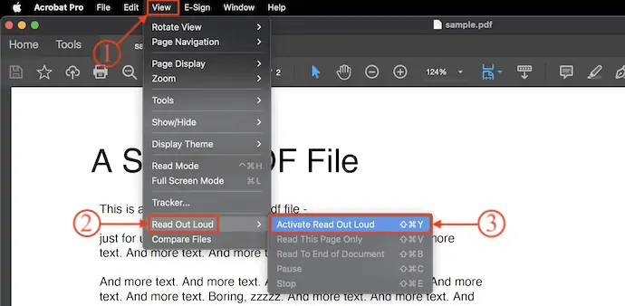 在 Adobe Acrobat DC 上激活朗读