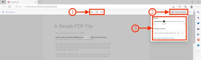 Microsoft Edge 中的阅读首选项