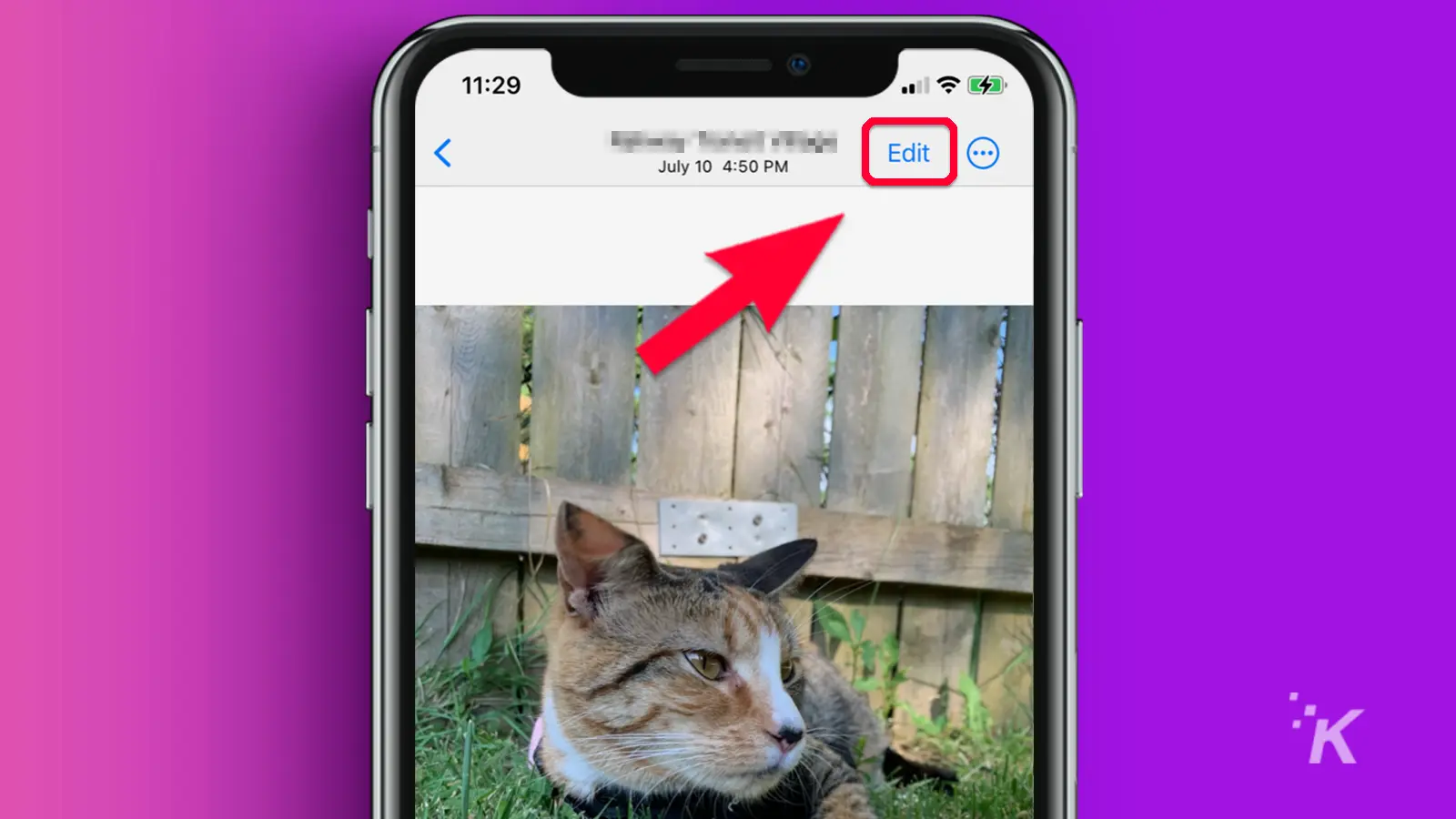 iPhone со стрелкой, указывающей на редактирование, и изображение кота на травяном дворе