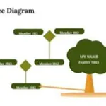 Diagramme d'arbre généalogique