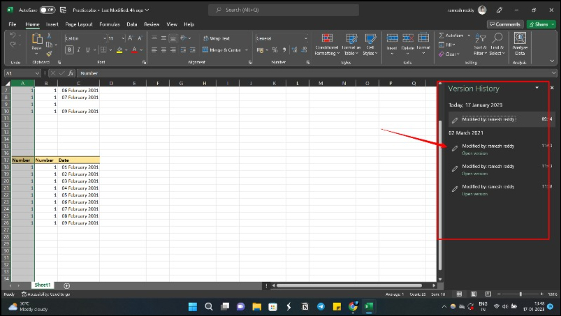 image showing excel file version history
