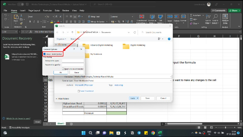image showing excel file back up option