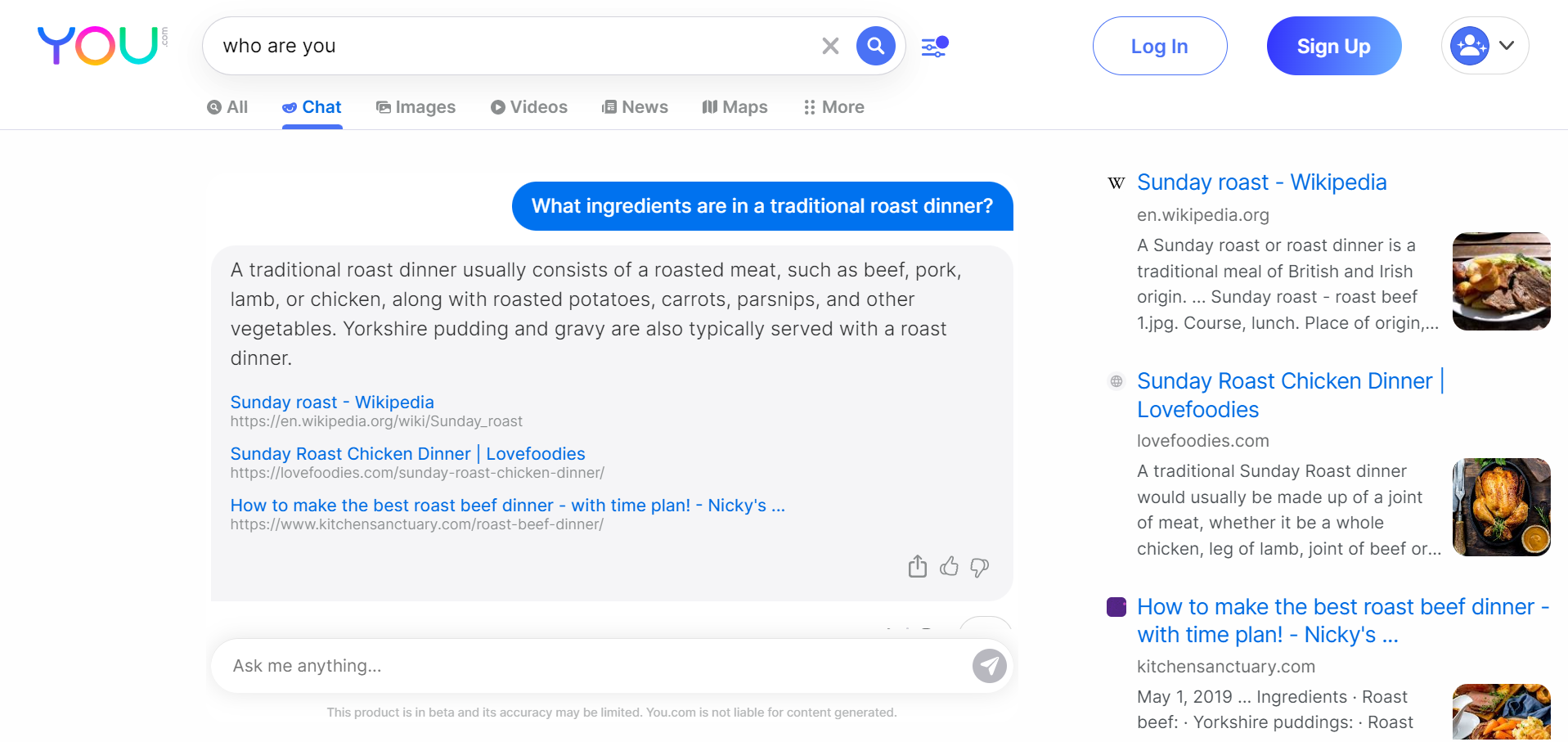 Alternativas ChatGPT: interface Youchat