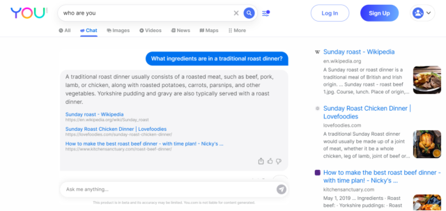 Alternativas ChatGPT: interface Youchat