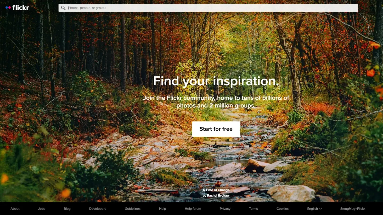 Flickr web sitesi