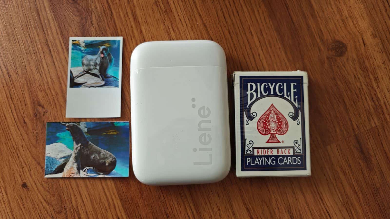 骑自行车的人一边骑自行车一边玩纸牌游戏。全文:BICYCLE RIDER BACK PLAYING CARDS Liene