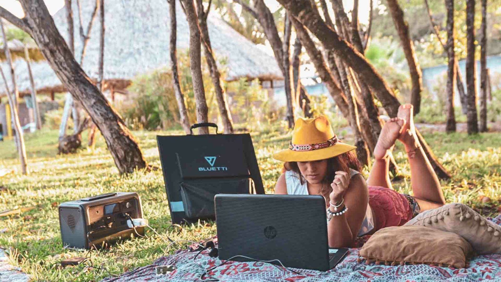 Uma pessoa está sentada na grama ao ar livre com um laptop e uma planta, cercada por uma árvore.