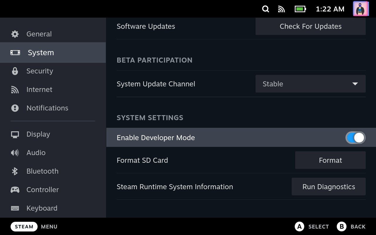 enable dev mode