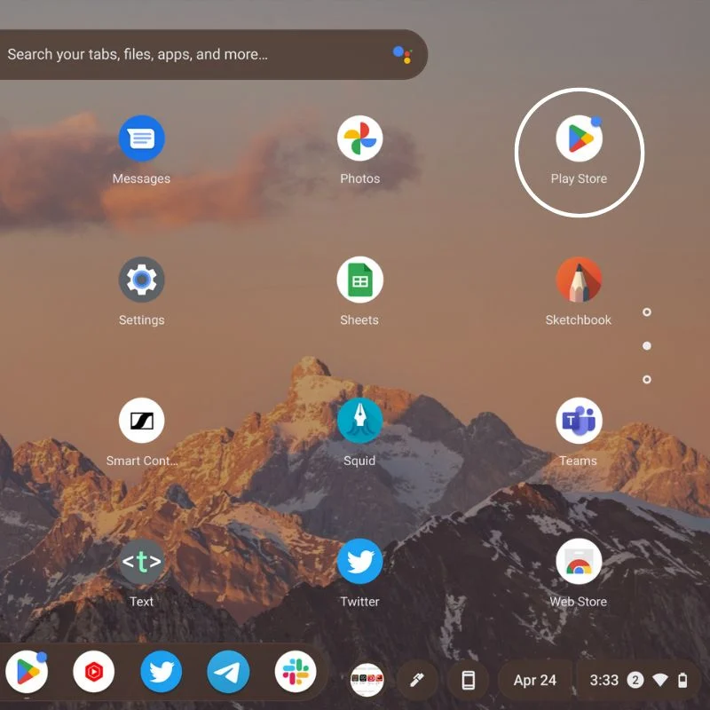 play store on chromeos