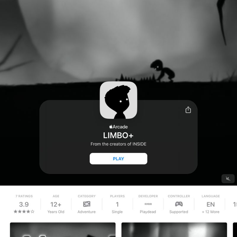 limbo, the mystry game