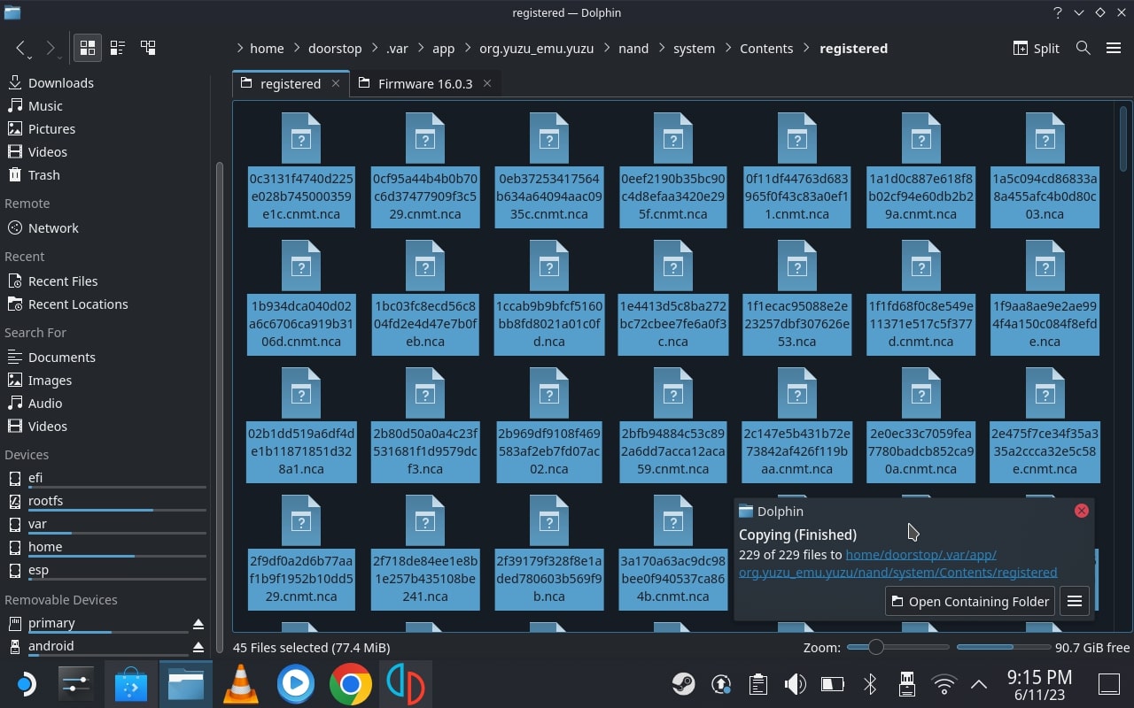 copy firmware files to this location