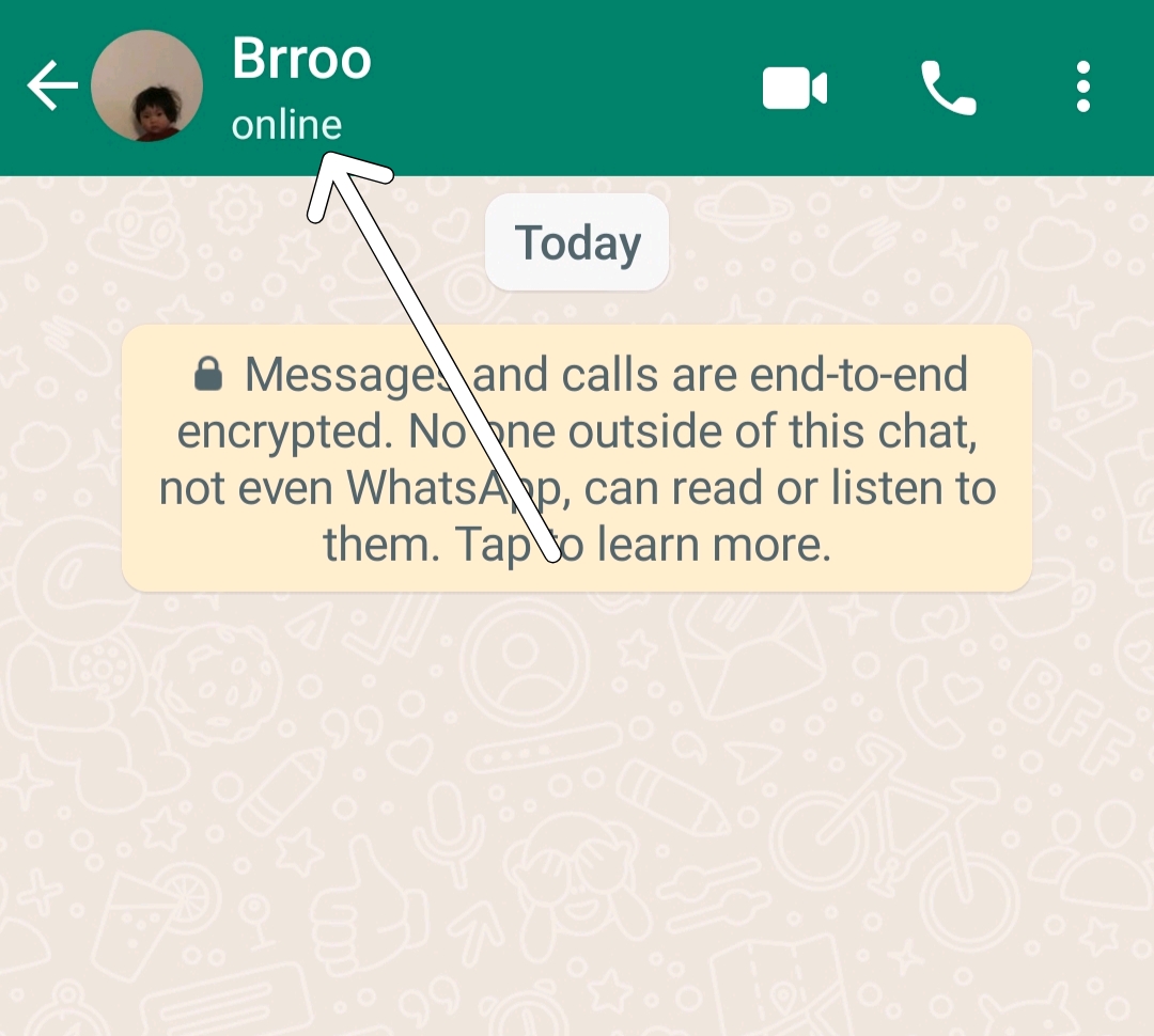 whatsapp online status