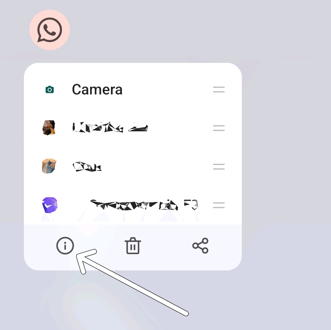 whatsapp app info