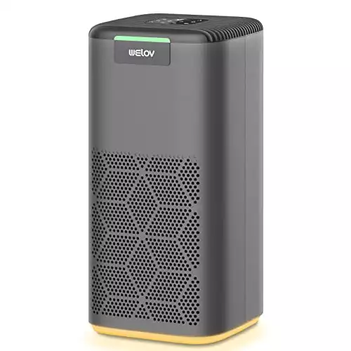 Purificateur d'air WELOV P200S