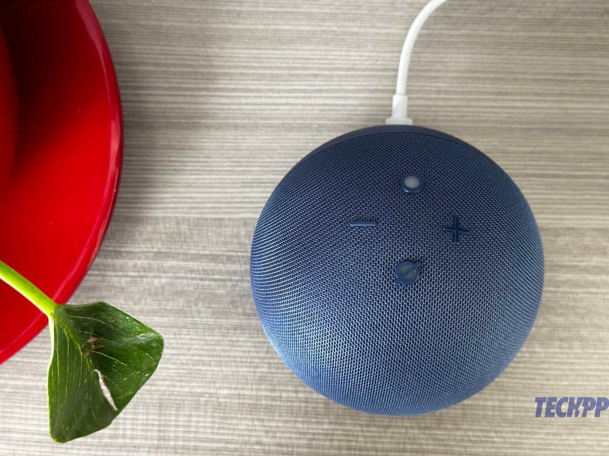 amazon echo dot 5th gen price