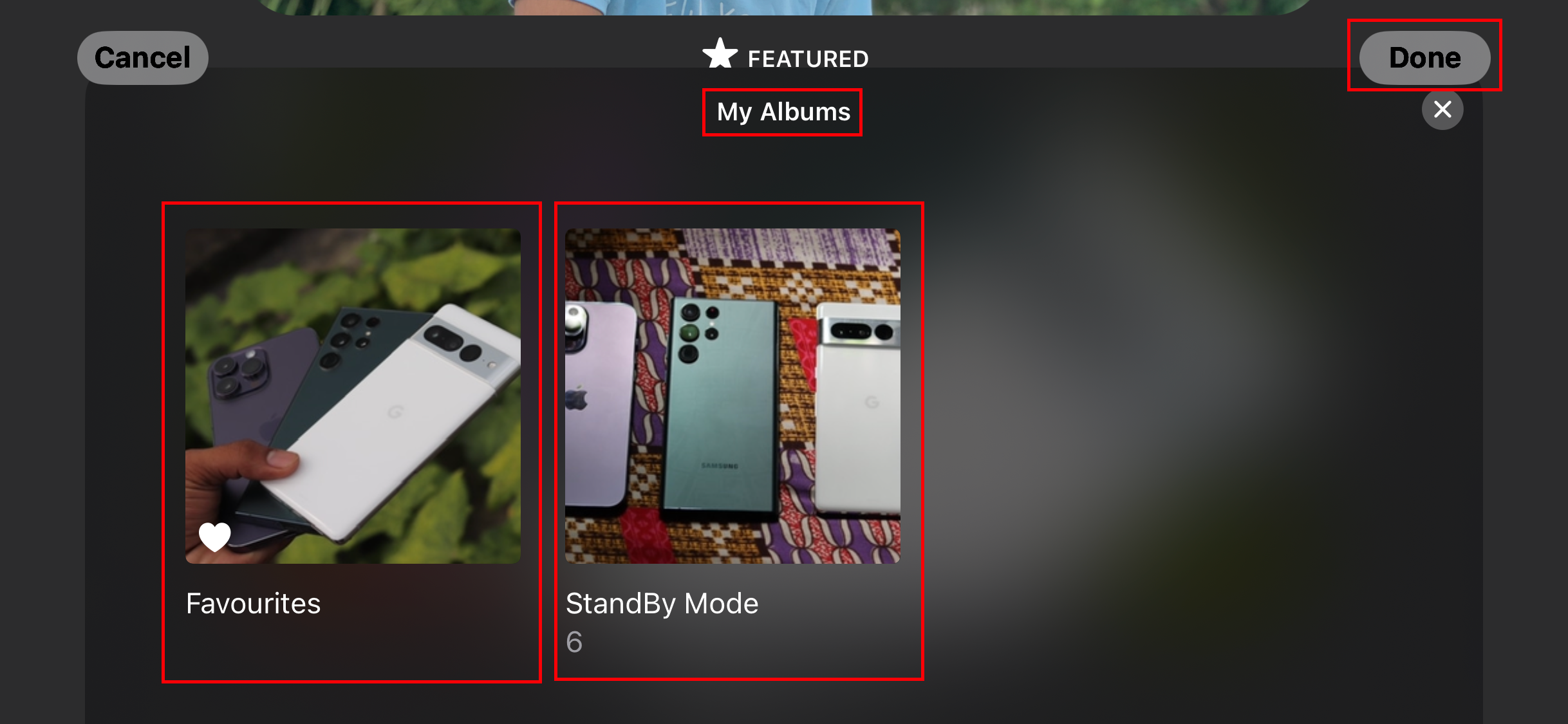 album