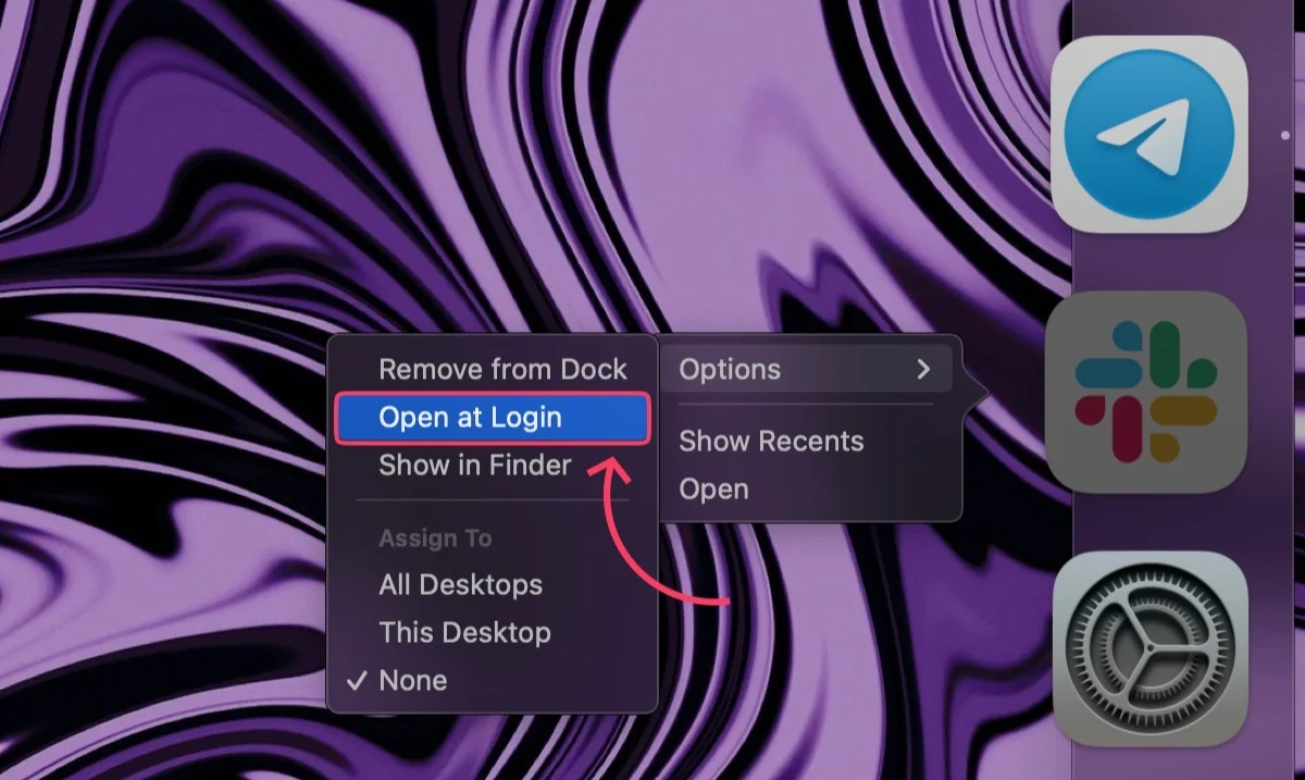 app removed from login items