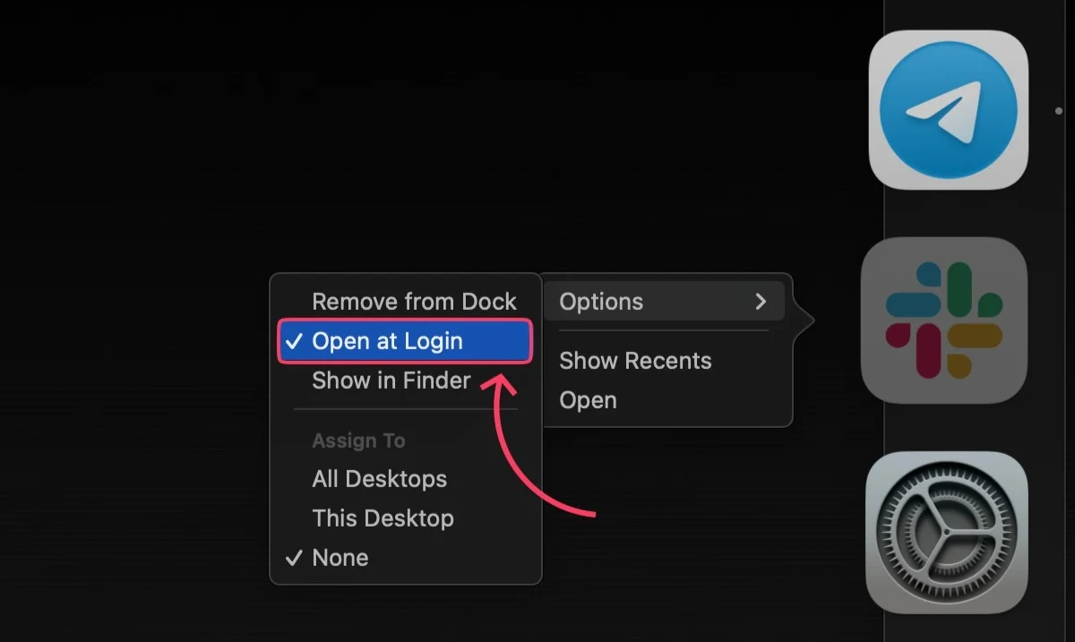 app added as a login item