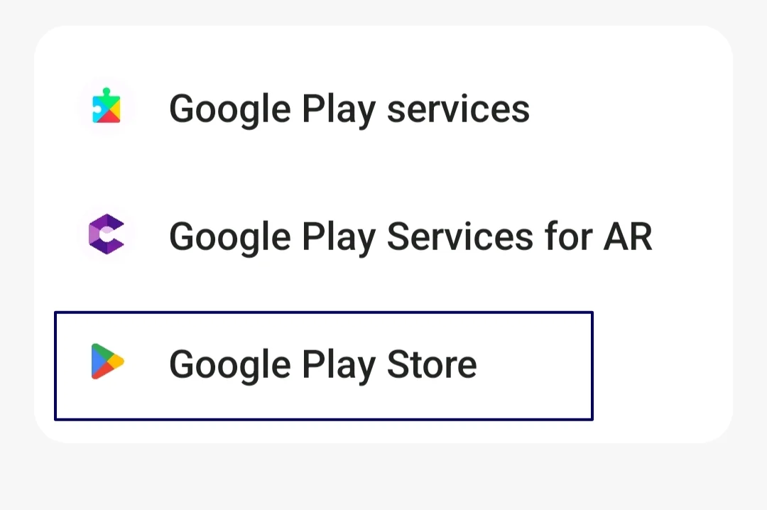 google play store in the app lists