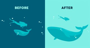 12 principios de jerarquía visual que todo diseñador debe conocer