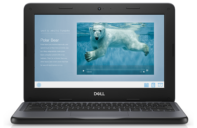 Chromebook Dell 11 (3100)