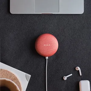 Google Home Changer la voix