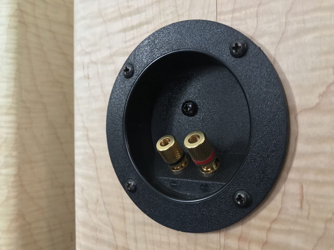 Revisión: Altavoces Ohm Walsh 1000