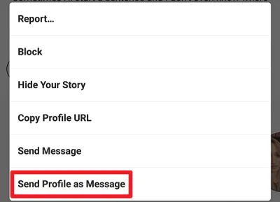 Instagram プロフィールをメッセージとして送信オプション