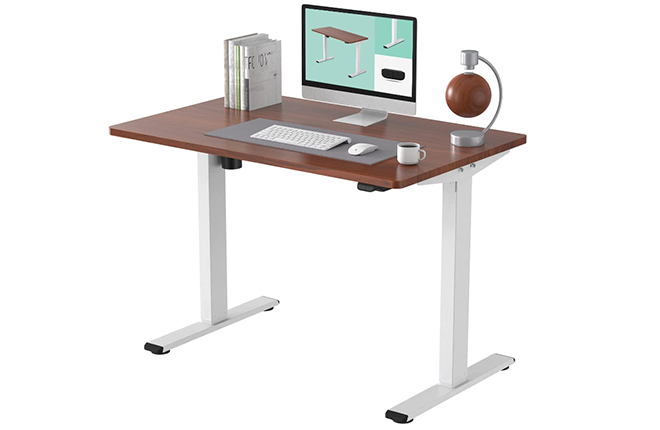 Bureau debout Flexispot EC1