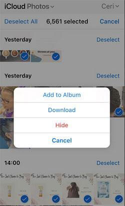 Option de téléchargement