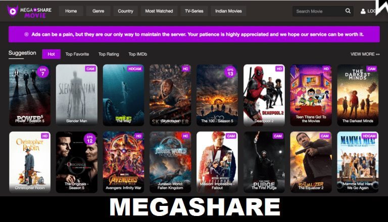 MegaShare