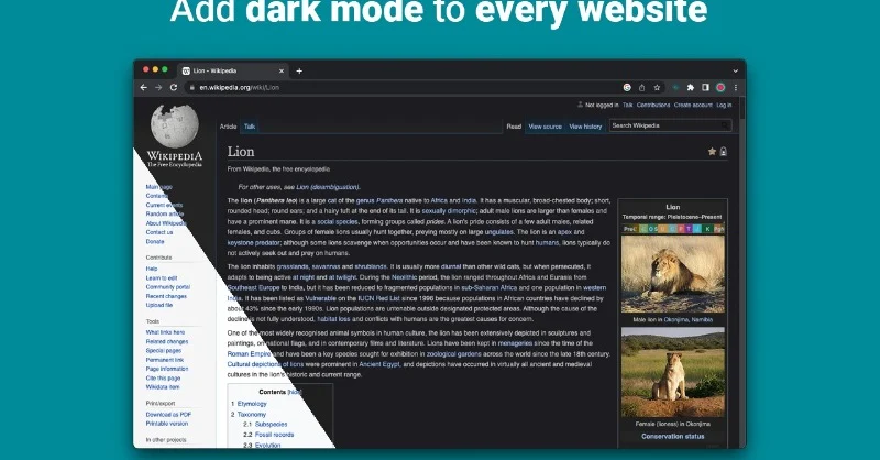 dark mode - night eye