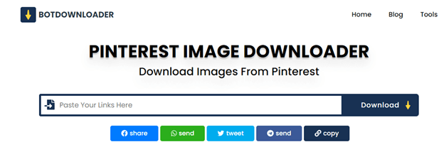 Descargador de robots BotDownloader