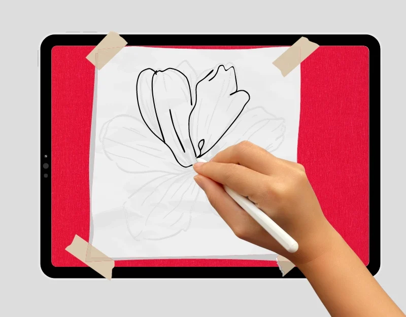 convert physical drawing into digital drawing using ipad and apple pencil