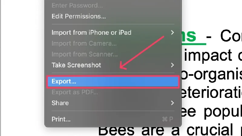 export pdf file