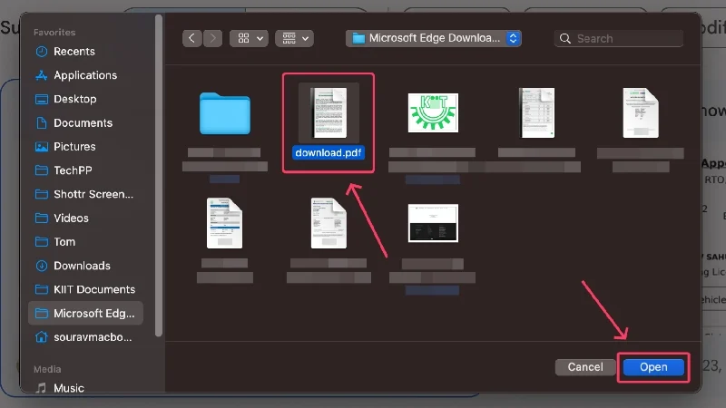 choose the require pdf file