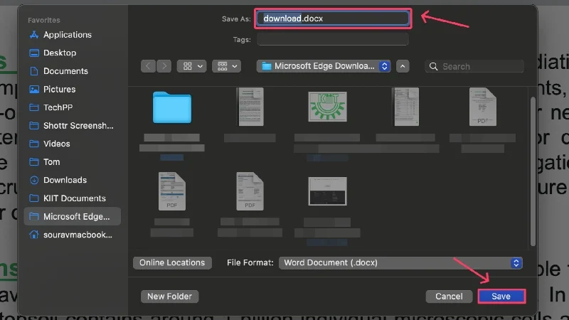 save file using ms word